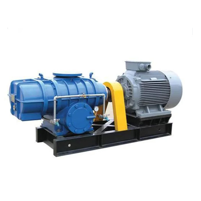 2.2kw-11kw Direct coitus tres lobi Roots Blower