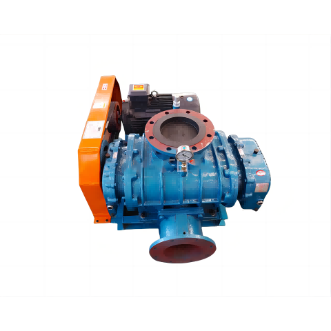 Operationis principium Roots Vacuum Pump