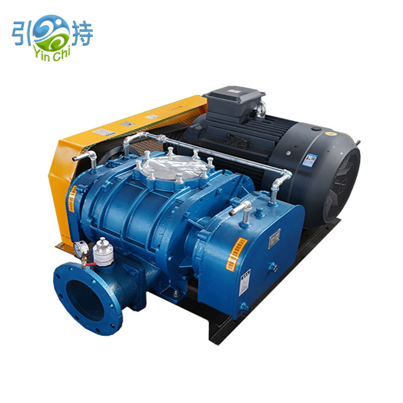 Quomodo Radices Negativae Pressurae Vacuum Pump Blower Optimize Full-Cycle Food Vacuum Packaging Workflows?