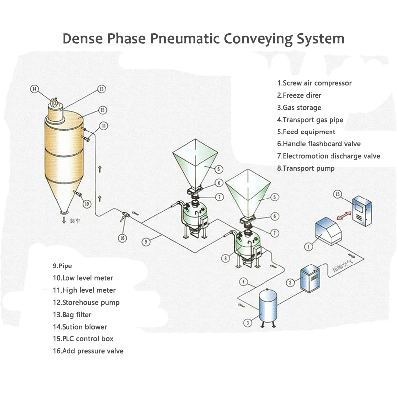 Densa periodus pneumatica systema importans