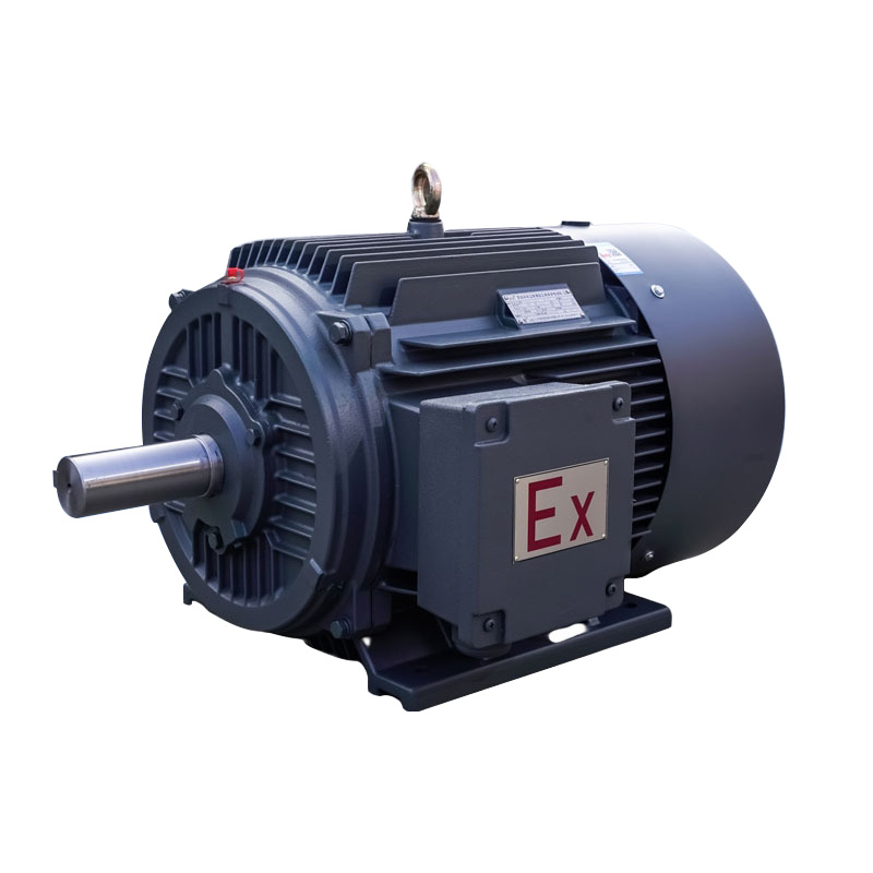 EXPOSITIO Probatur Electrical Motor for Coal Mine