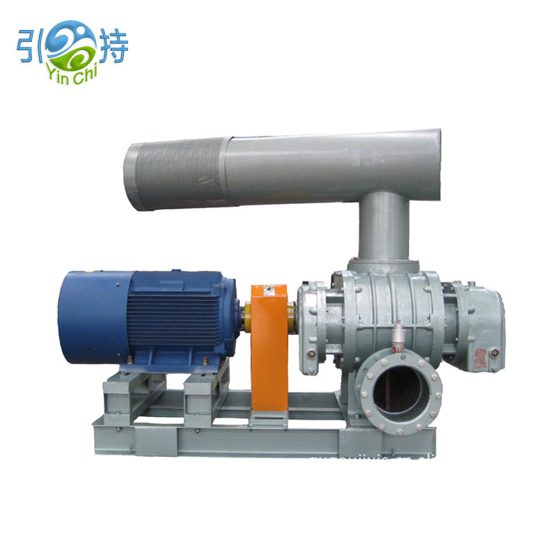 Industrial Gas Conveying Direct coitus Roots Blower