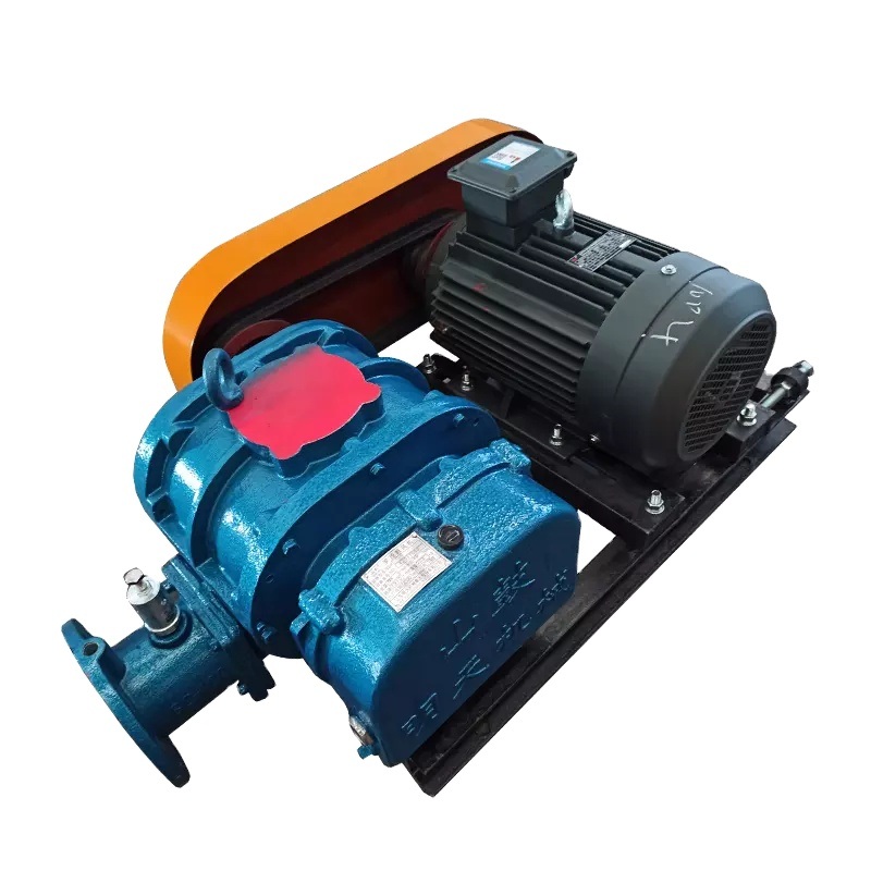 Lobe Rotor Roots Vacuum Pump