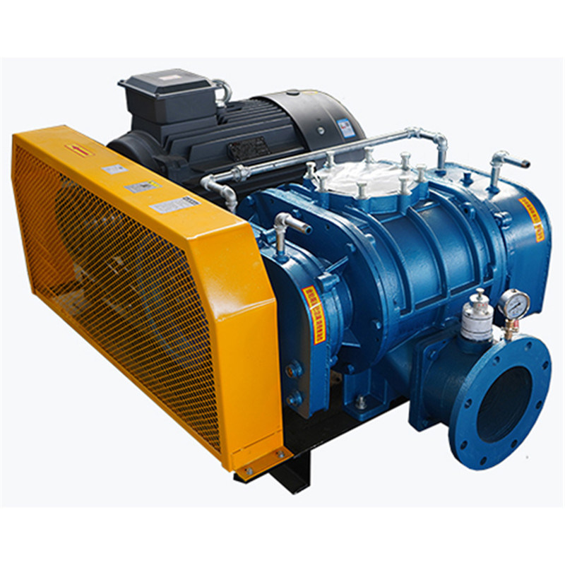 Pneumatica Roots Conveying Blower Vacuum Pump